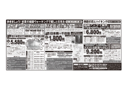110531トラベル日本_読売新聞.pdf